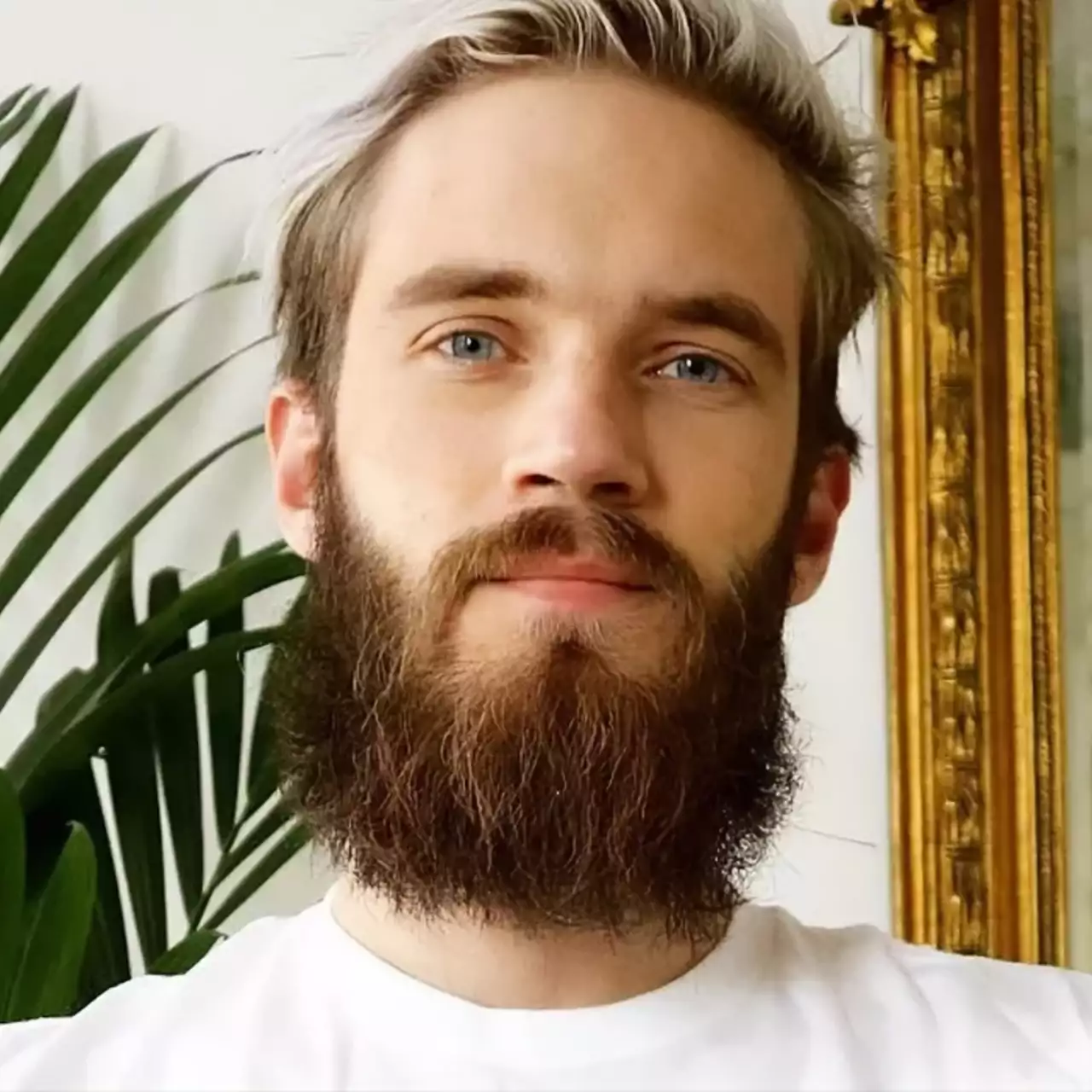 PewDiePie откроет счет в оффшоре на Кипре, считает эксперт. Так он сможет сэкономить миллионы долларов