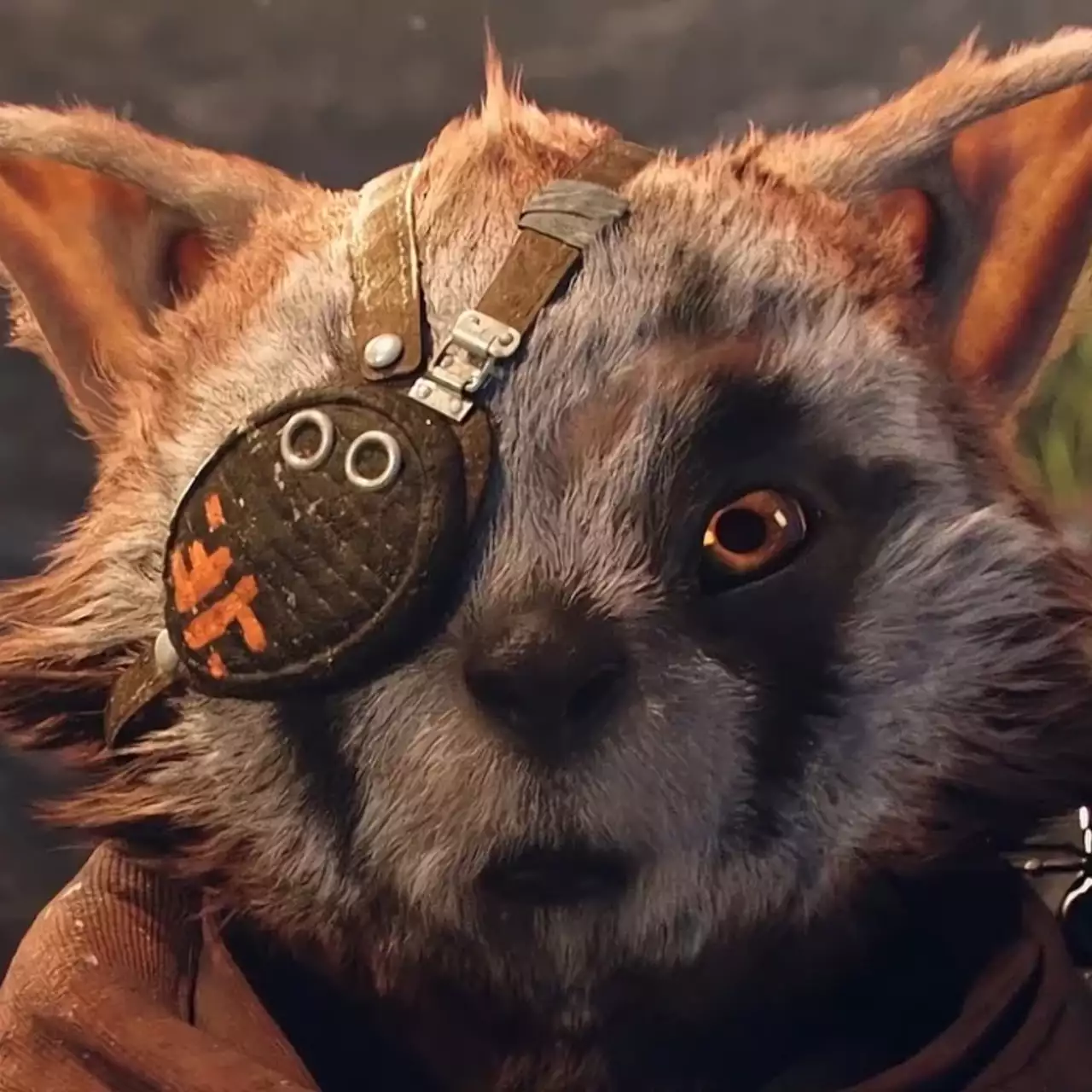 Объявлена дата выхода Biomutant — постапокалиптического боевика про боевого енота в открытом мире Объявлена дата выхода Biomutant — постапокалиптического боевика про боевого енота в открытом мире