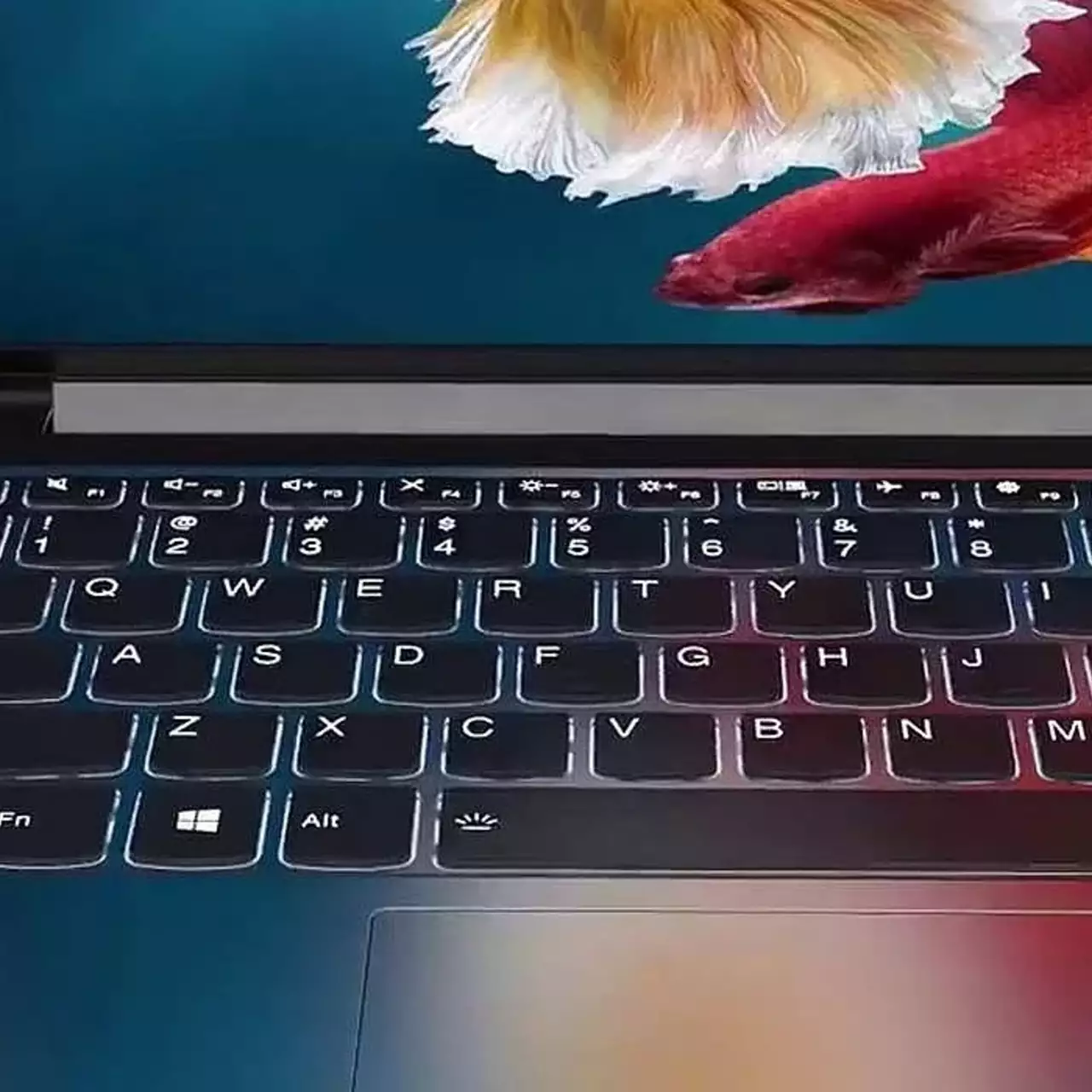 В Lenovo придумали, как улучшить игровую графику почти всех современных ноутбуков В Lenovo придумали, как улучшить игровую графику почти всех современных ноутбуков
