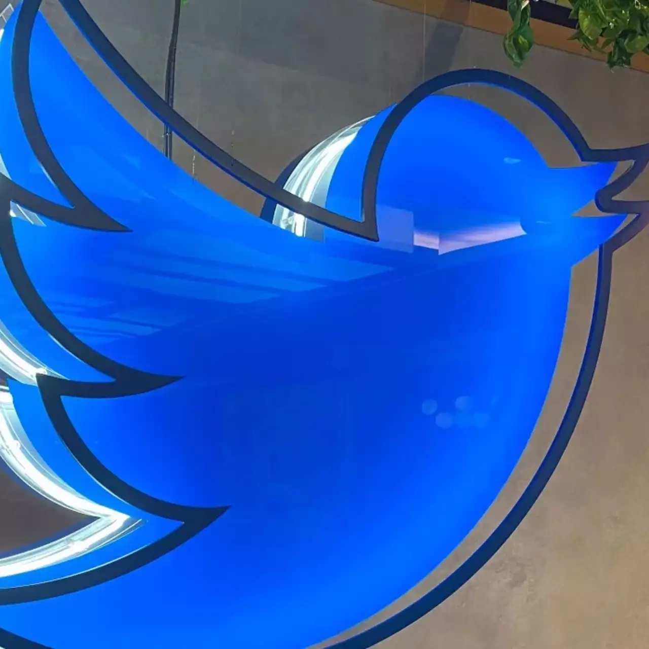 Twitter вводит платные подписки и группы «по интересам». А вот редактирования твитов снова нет Twitter вводит платные подписки и группы «по интересам». А вот редактирования твитов снова нет