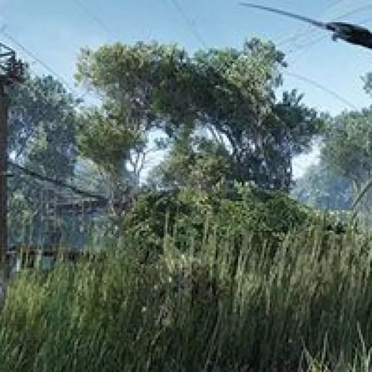 Финальная дата релиза Crysis 3