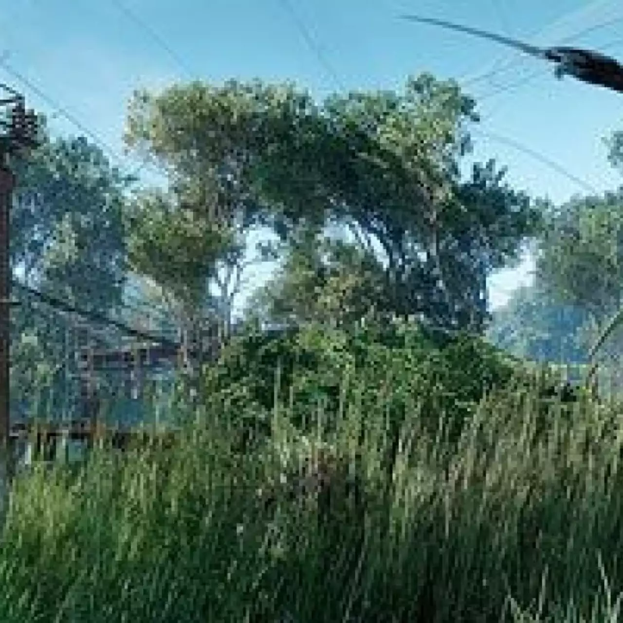 Цеват Йерли: «Crysis 3 уделает своих консольных конкурентов» Цеват Йерли: «Crysis 3 уделает своих консольных конкурентов»