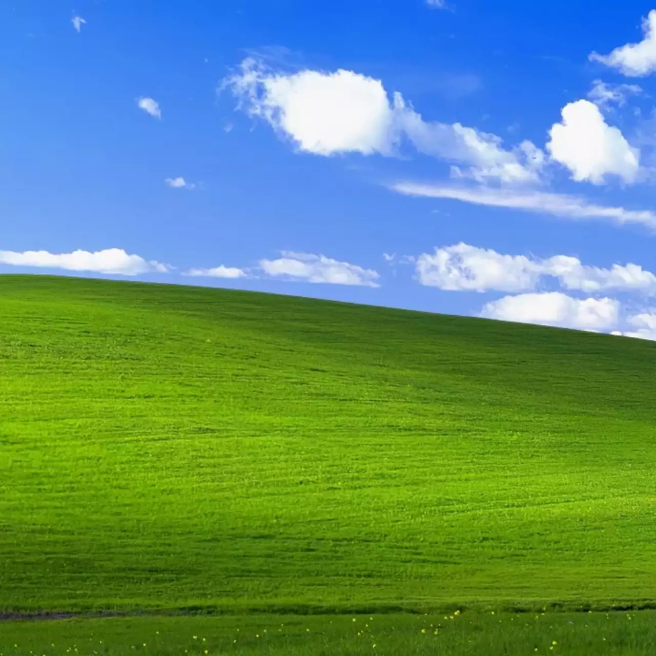 Microsoft показала ретрообои в стиле Windows XP. Их можно скачать бесплатно Microsoft показала ретрообои в стиле Windows XP. Их можно скачать бесплатно