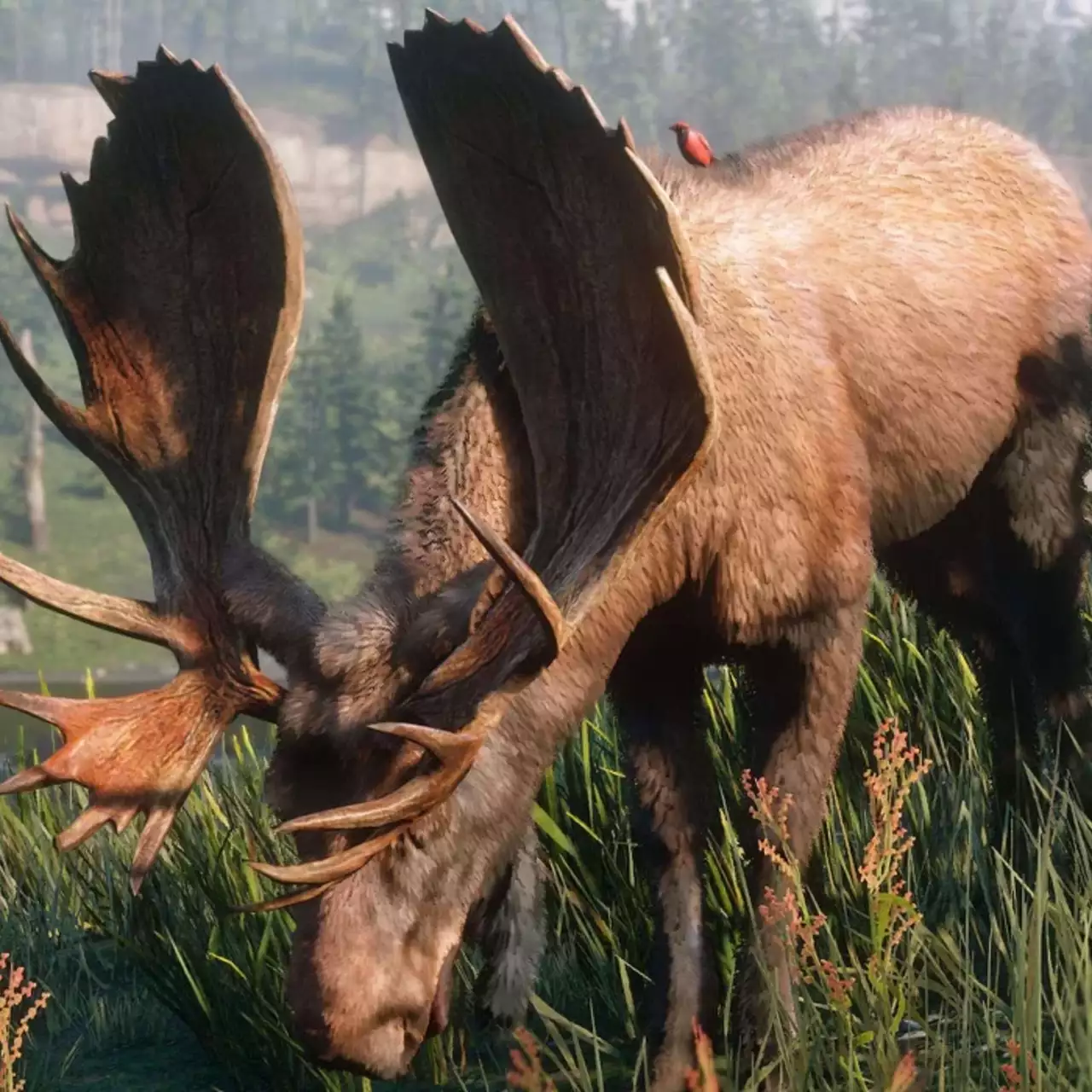 Учёные заявили о пользе игры в RDR 2 для изучения дикой природы Учёные заявили о пользе игры в RDR 2 для изучения дикой природы