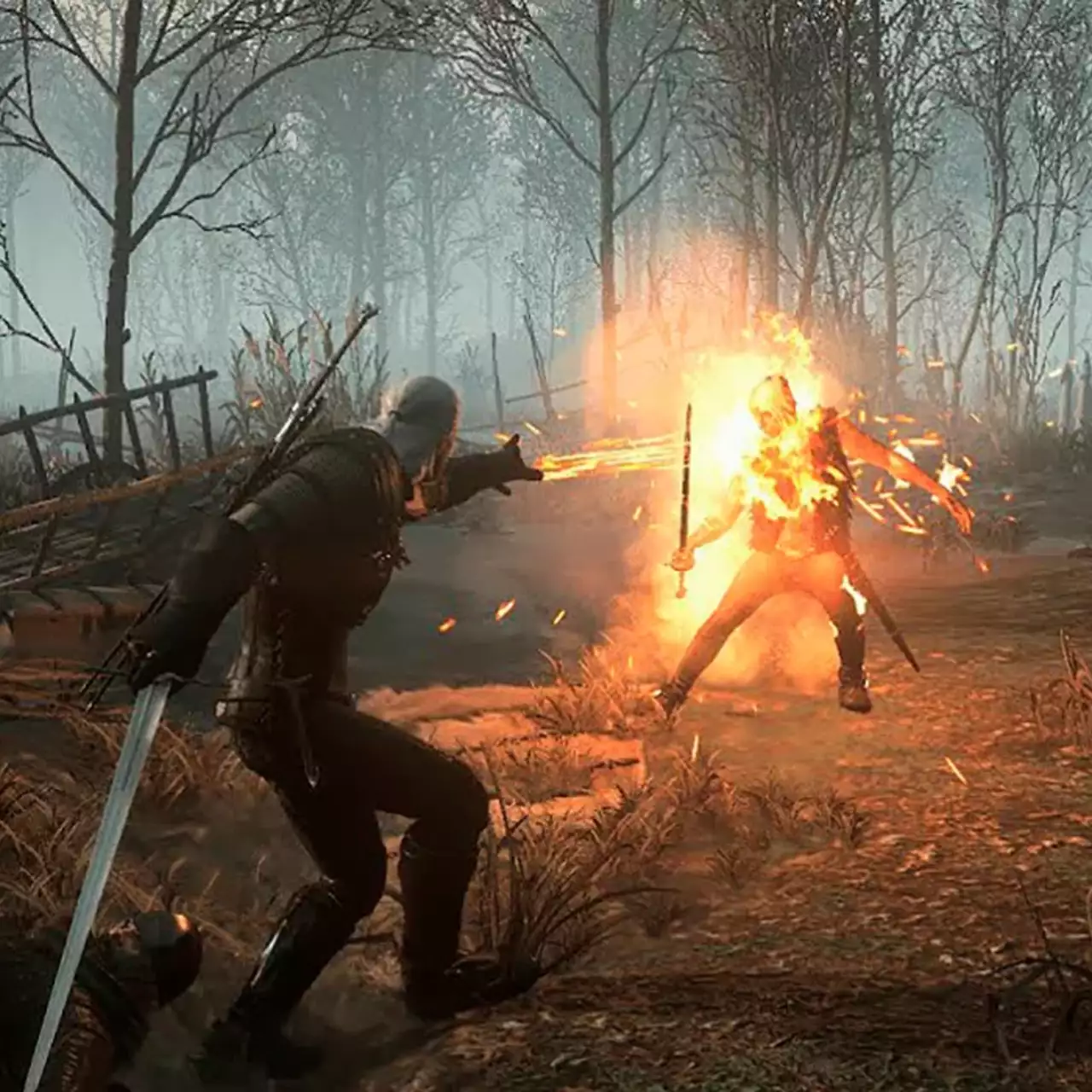 Вышел мод для The Witcher 3, который включает максимальную графику только в катсценах Вышел мод для The Witcher 3, который включает максимальную графику только в катсценах
