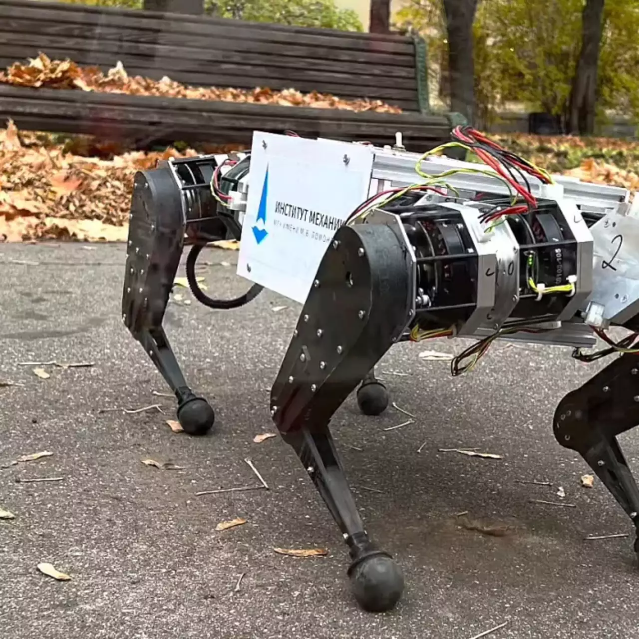 Почти как Boston Dynamics — в России разработали первого робота-собаку