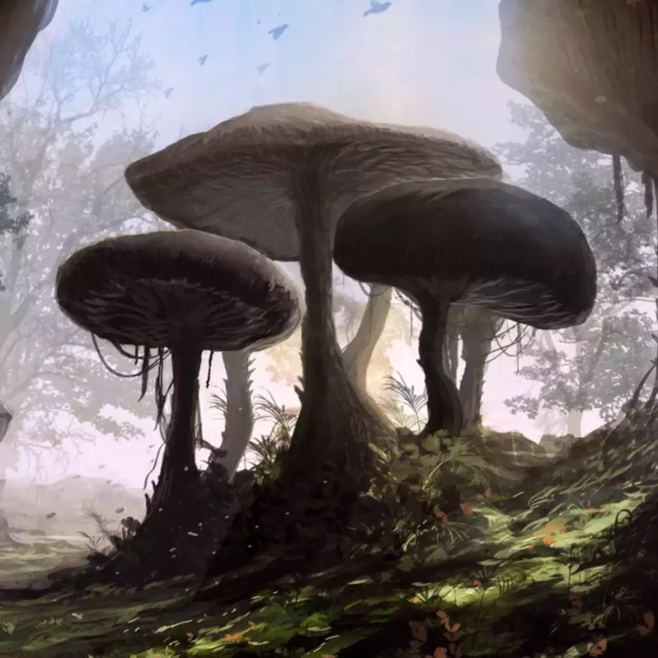 Появилось новое видео масштабной модификации, которая перенесёт Morrowind на движок Skyrim Появилось новое видео масштабной модификации, которая перенесёт Morrowind на движок Skyrim