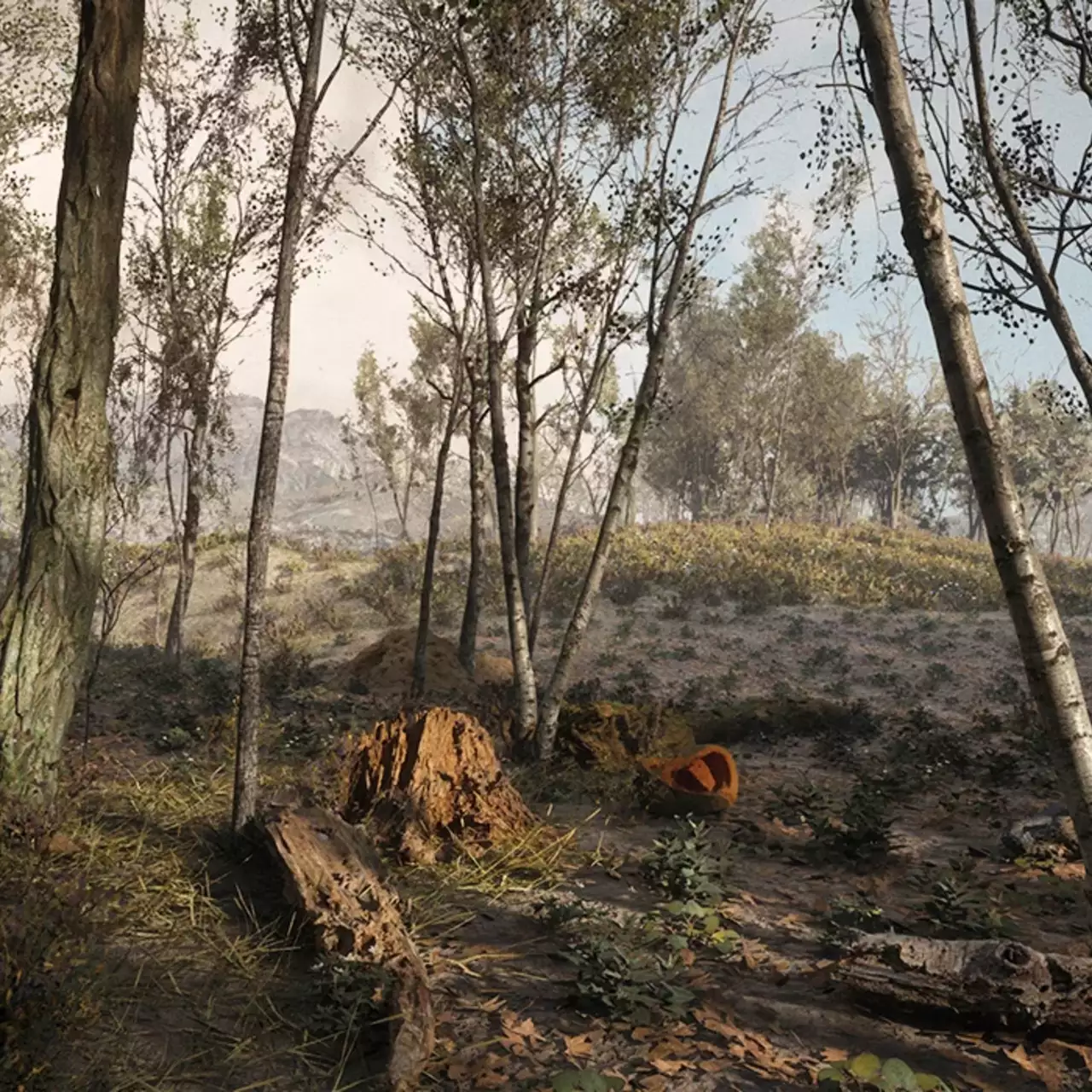 Дизайнер S.T.A.L.K.E.R. 2 показал фотореалистичный лес, который он создал на Unreal Engine 5