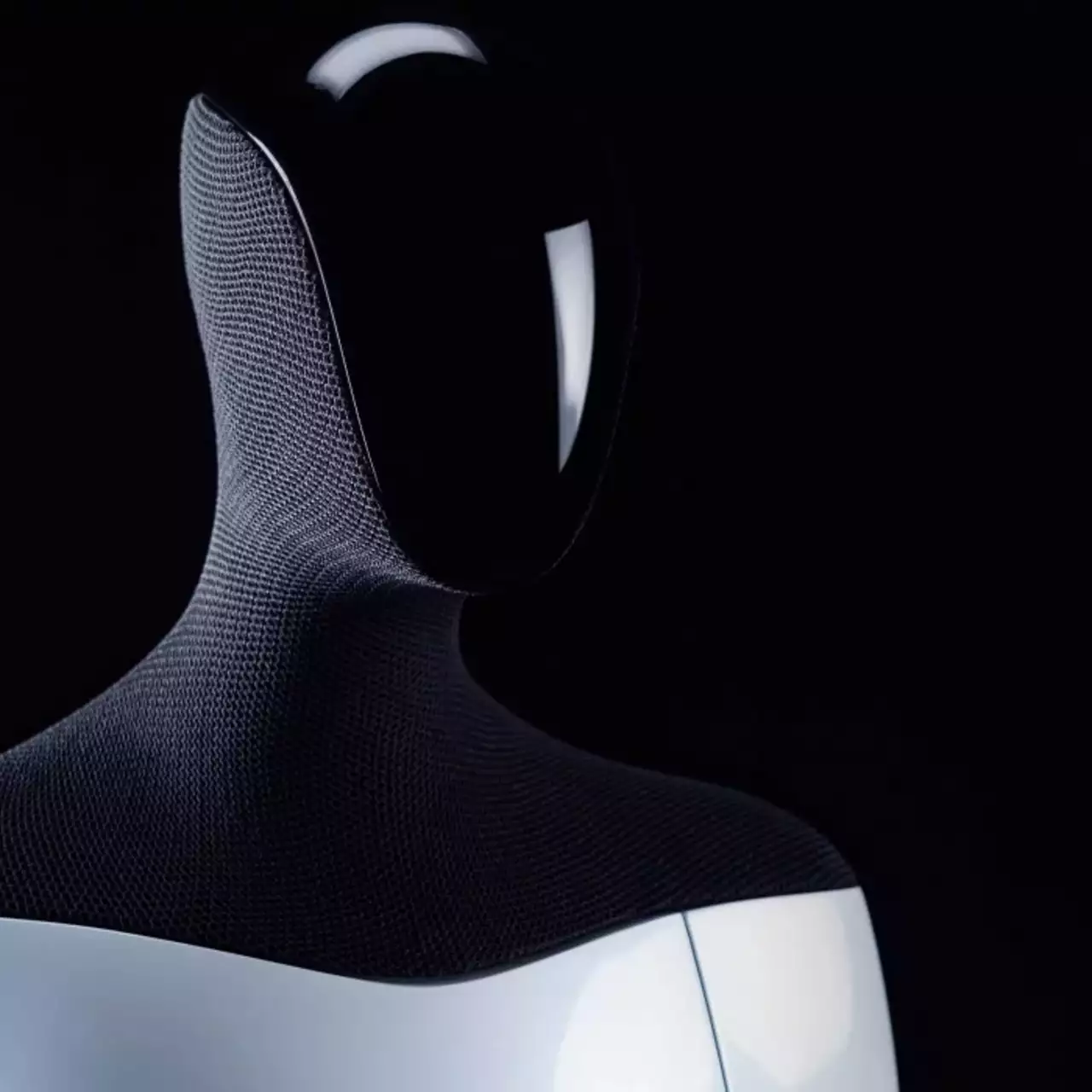 Илон Маск пообещал, что каждый Tesla Bot со временем получит уникальную личность Илон Маск пообещал, что каждый Tesla Bot со временем получит уникальную личность