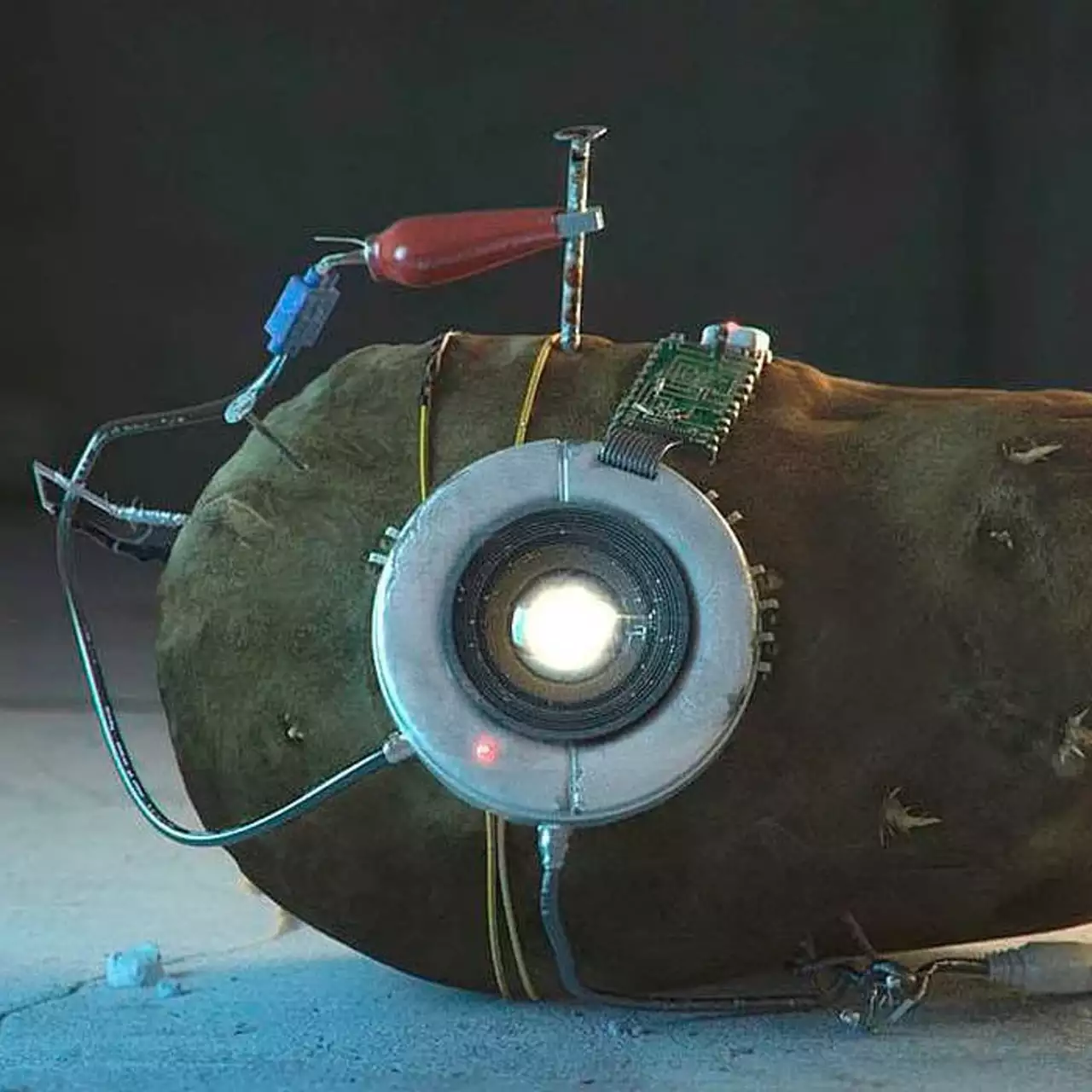 На Nintendo Switch выйдут головоломки Portal и Portal 2 от Valve На Nintendo Switch выйдут головоломки Portal и Portal 2 от Valve