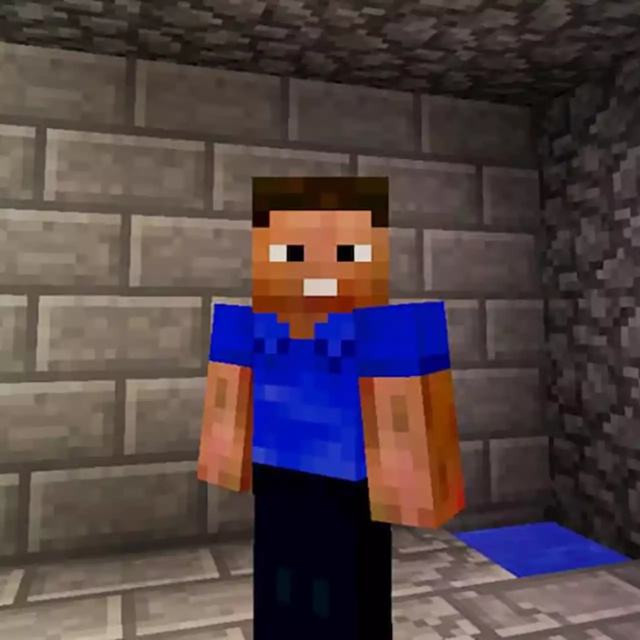 Российского школьника, который хотел взорвать здание ФСБ в Minecraft, приговорили к 5 годам колонии