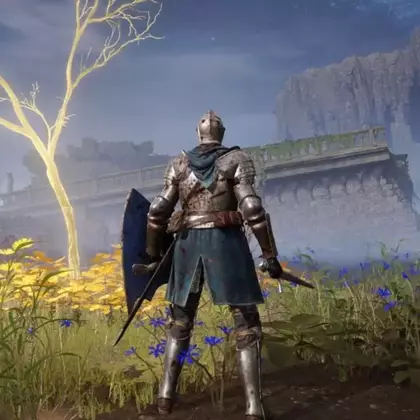 Игроки подняли рейтинг Elden Ring в Steam