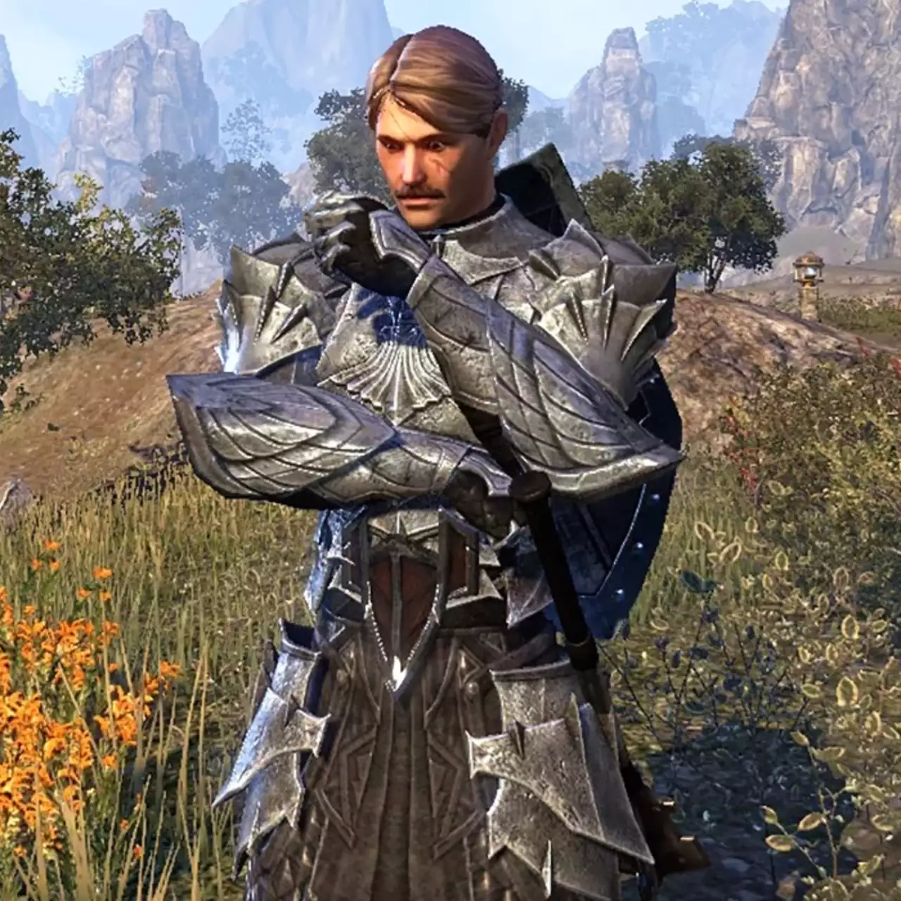 The Elder Scrolls Online сделали временно бесплатной. Игру можно скачать на PC и консолях The Elder Scrolls Online сделали временно бесплатной. Игру можно скачать на PC и консолях