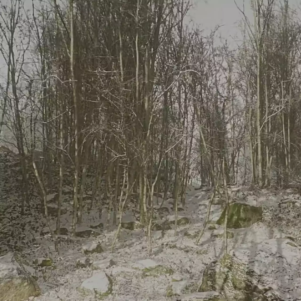 Abandoned не существует? СМИ утверждают, что да, разработчики возражают Abandoned не существует? СМИ утверждают, что да, разработчики возражают