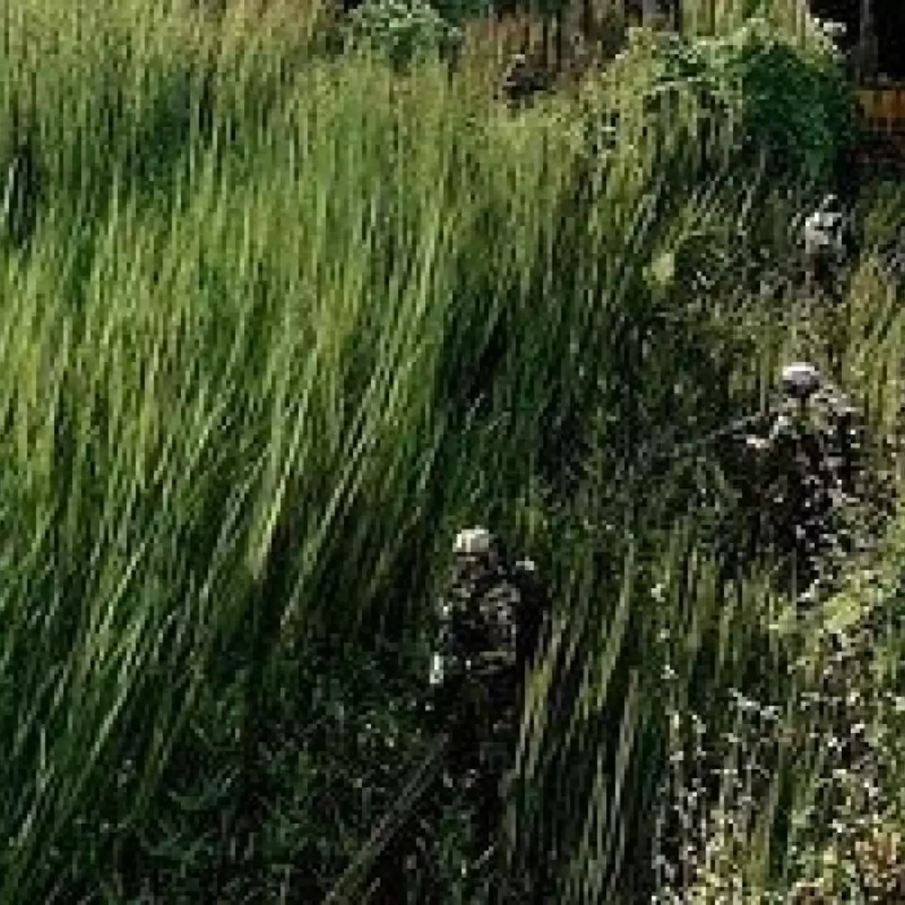 7 Чудес Crysis 3. Часть 5 — «Идеальное оружие»