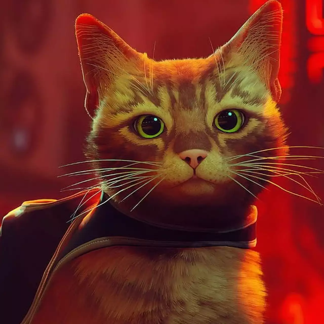 В сети появился список достижений Stray. Для получения «платины» надо пройти игру, мяукнуть 100 раз и проспать больше часа
