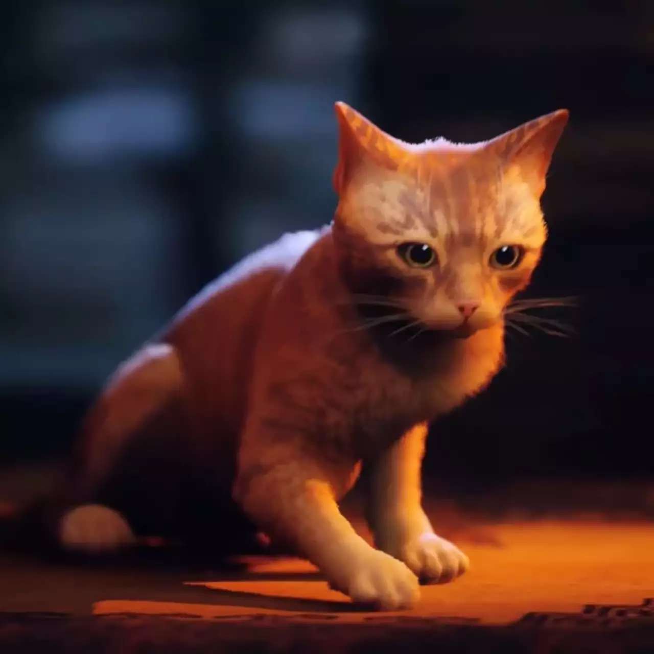 Раскрыто коллекционное издание Stray, самой желанной игры в Steam — видео