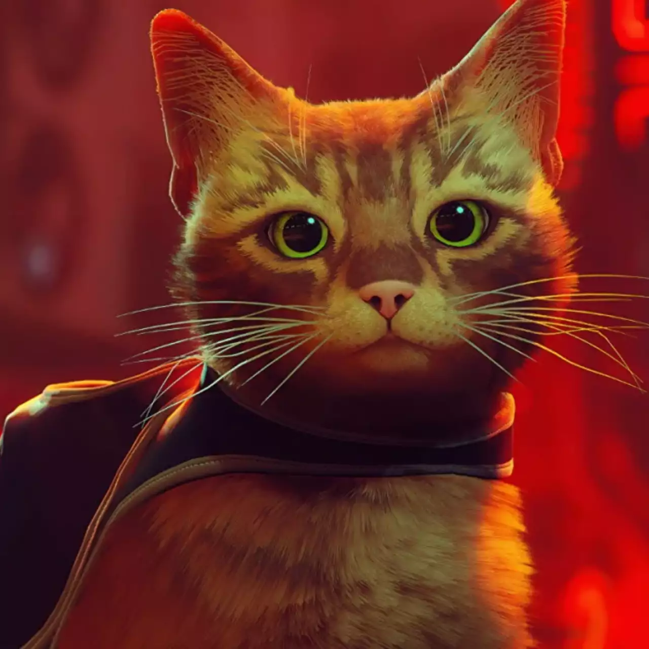 10 классных игр про котиков, которые стоит пройти, если понравилась Stray
