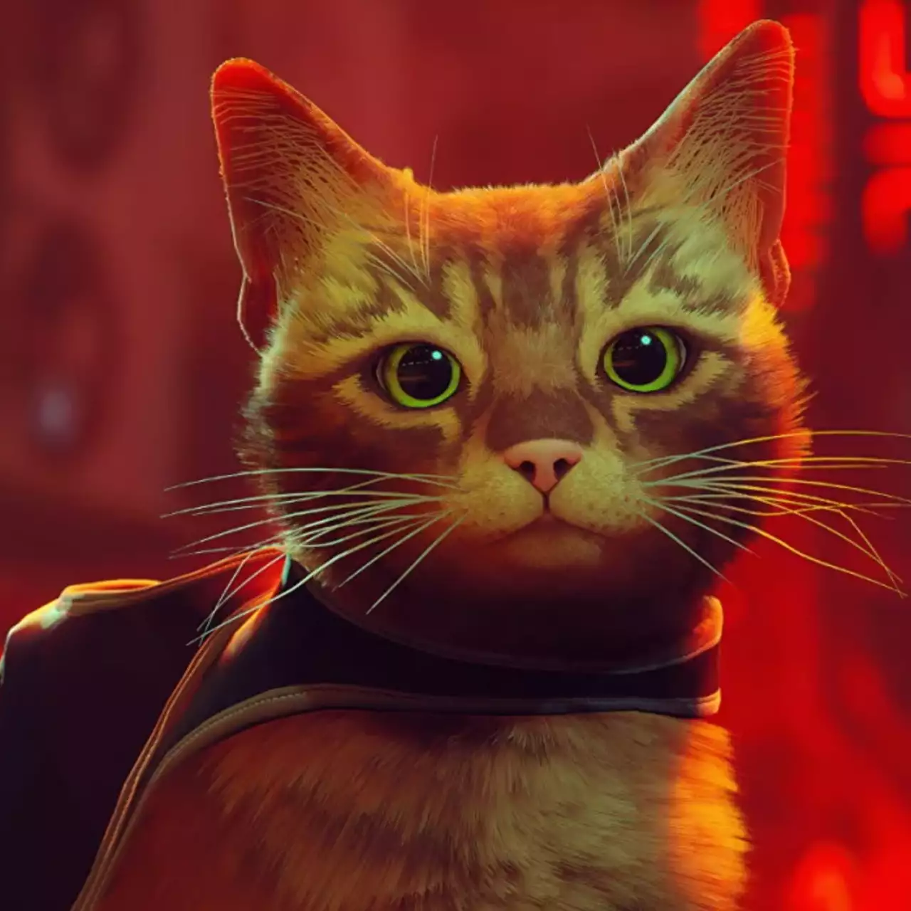 Обзор Stray. Мяу? Обзор Stray. Мяу?