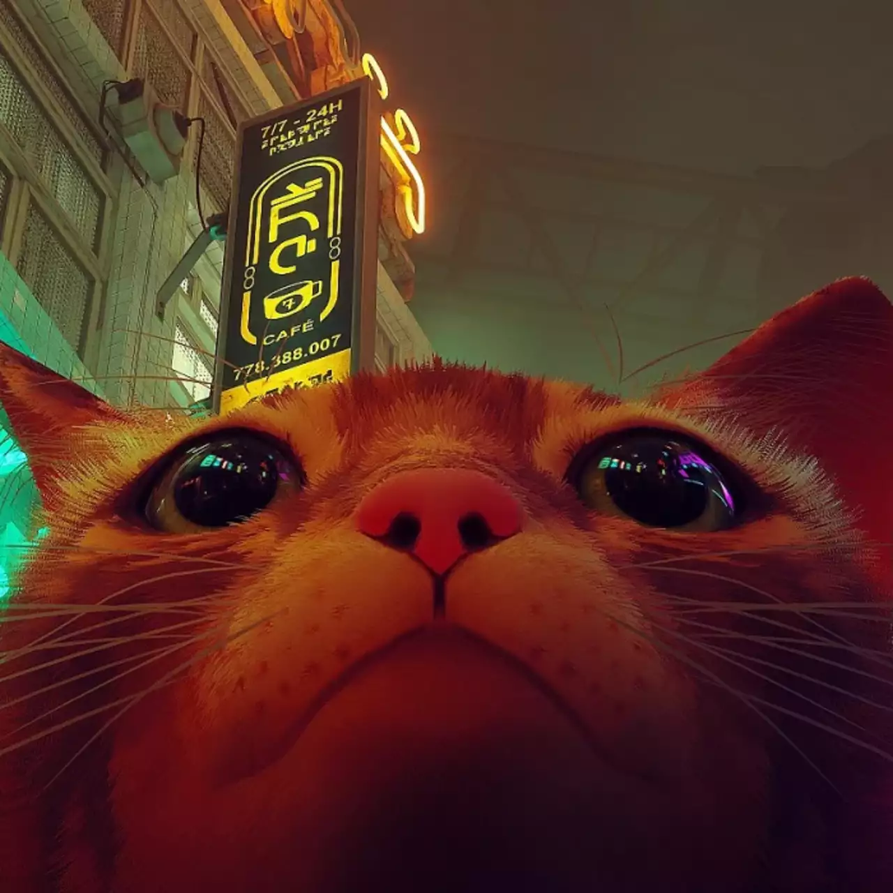 Фанат смог расшифровать вымышленный язык из Stray и прочитать сообщения в игре Фанат смог расшифровать вымышленный язык из Stray и прочитать сообщения в игре