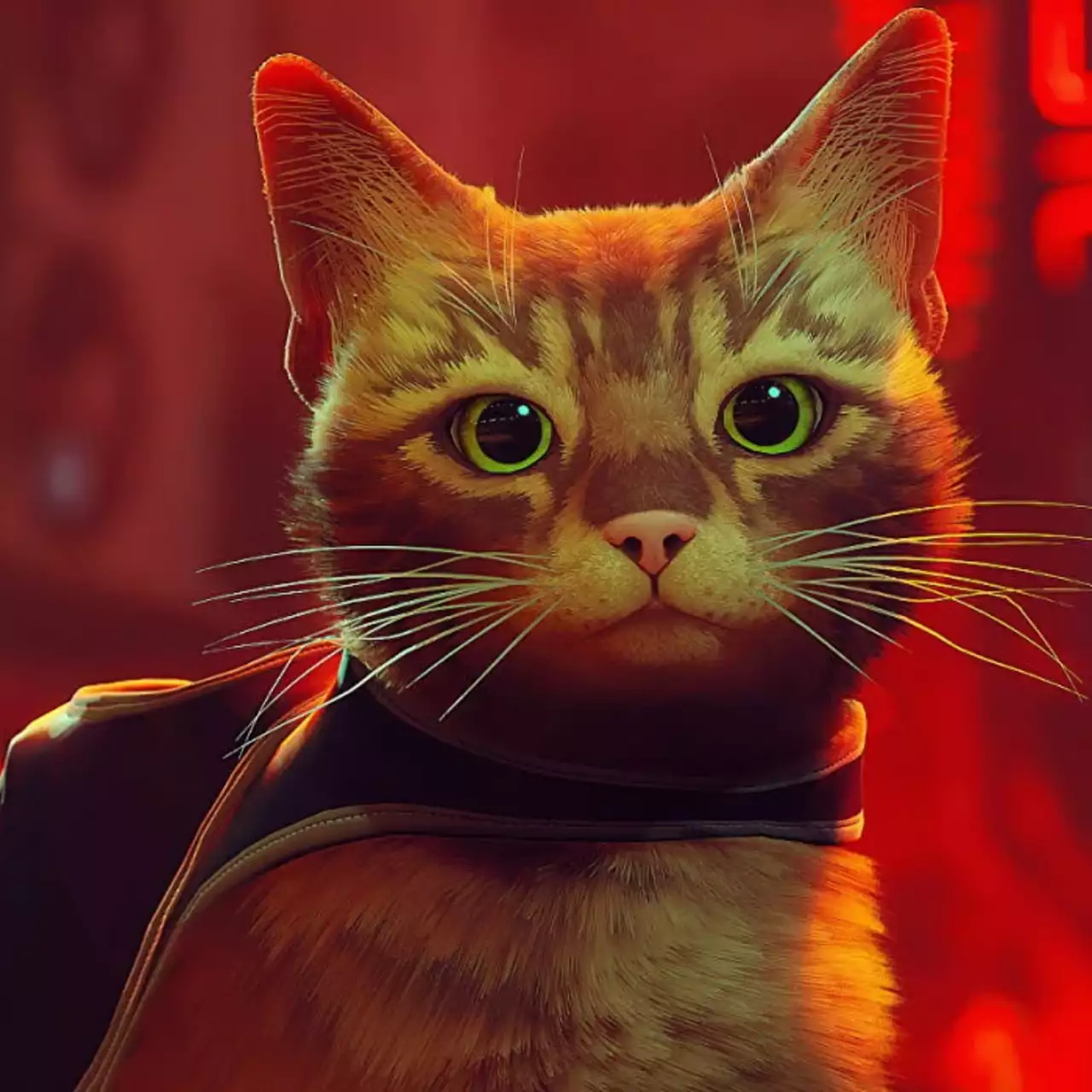 Дисковые версии Stray для PS5 появятся в российской рознице уже 20 сентября — названа цена Дисковые версии Stray для PS5 появятся в российской рознице уже 20 сентября — названа цена