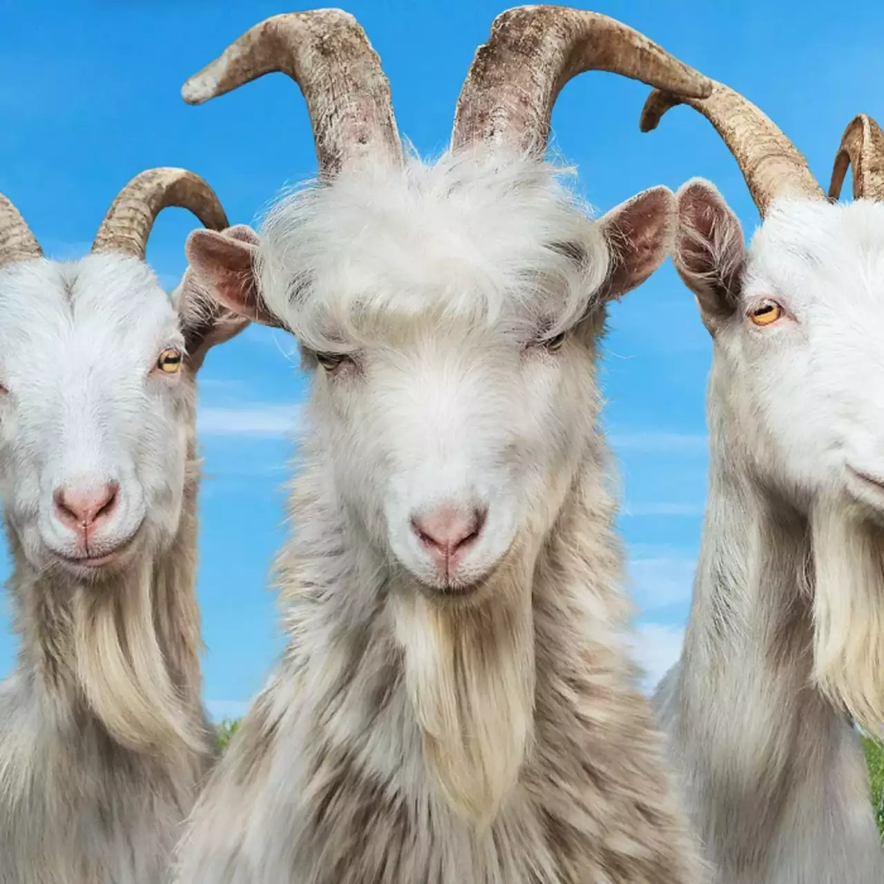 Вышел новый трейлер «симулятора козла» Goat Simulator 3. Также названа дата релиза Вышел новый трейлер «симулятора козла» Goat Simulator 3. Также названа дата релиза