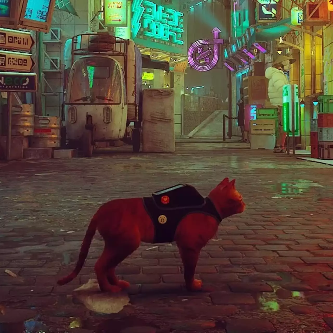 Все коды от сейфов и дверей в Stray: где найти и как применить пароли