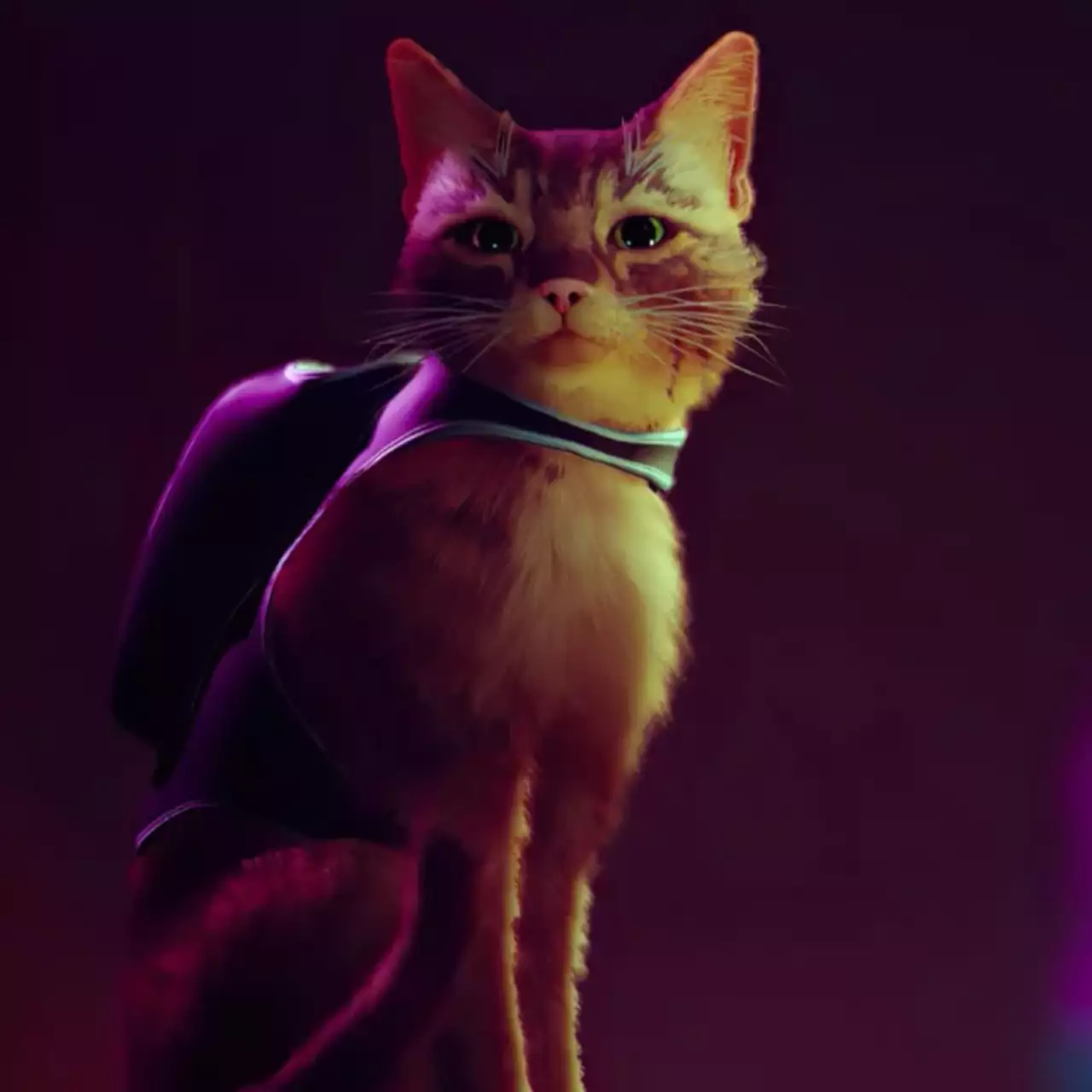 15 лучших модов для Stray: СиДжей, Гарфилд, улучшение графики, вид от первого лица и многое другое 15 лучших модов для Stray: СиДжей, Гарфилд, улучшение графики, вид от первого лица и многое другое