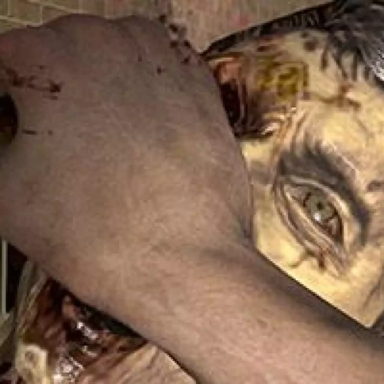 Появился новый трейлер The Walking Dead: Survival Instinct Появился новый трейлер The Walking Dead: Survival Instinct