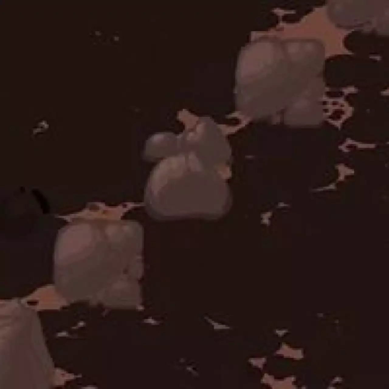 Разработчик показал новое изображение The Binding of Isaac: Rebirth Разработчик показал новое изображение The Binding of Isaac: Rebirth
