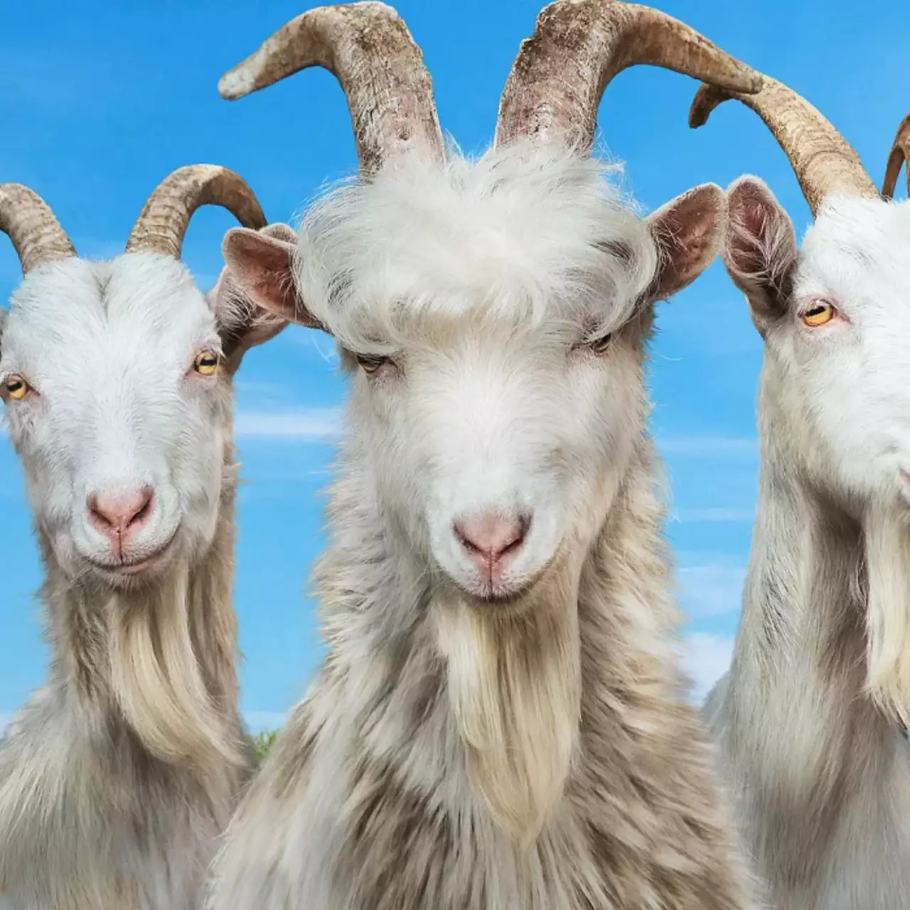 Показали свежий геймплей Goat Simulator 3 Показали свежий геймплей Goat Simulator 3