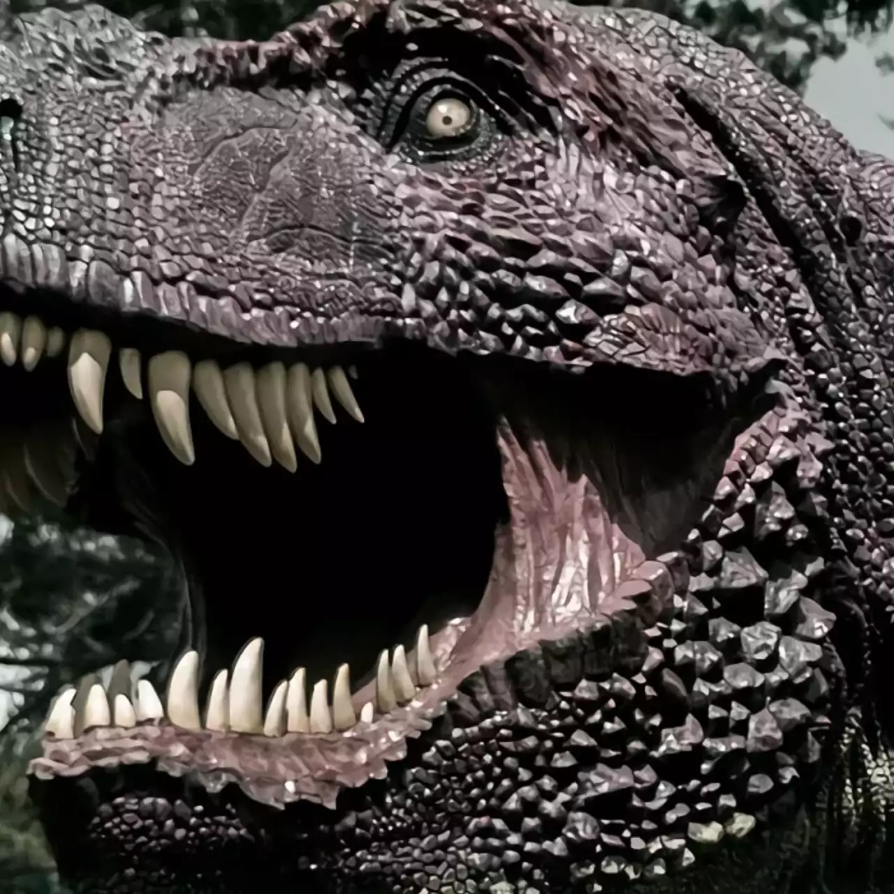 Анонсирован шутер от первого лица Dino Trauma, вдохновленный DOOM, Quake и Dino Crisis. У него «старая» графика Анонсирован шутер от первого лица Dino Trauma, вдохновленный DOOM, Quake и Dino Crisis. У него «старая» графика