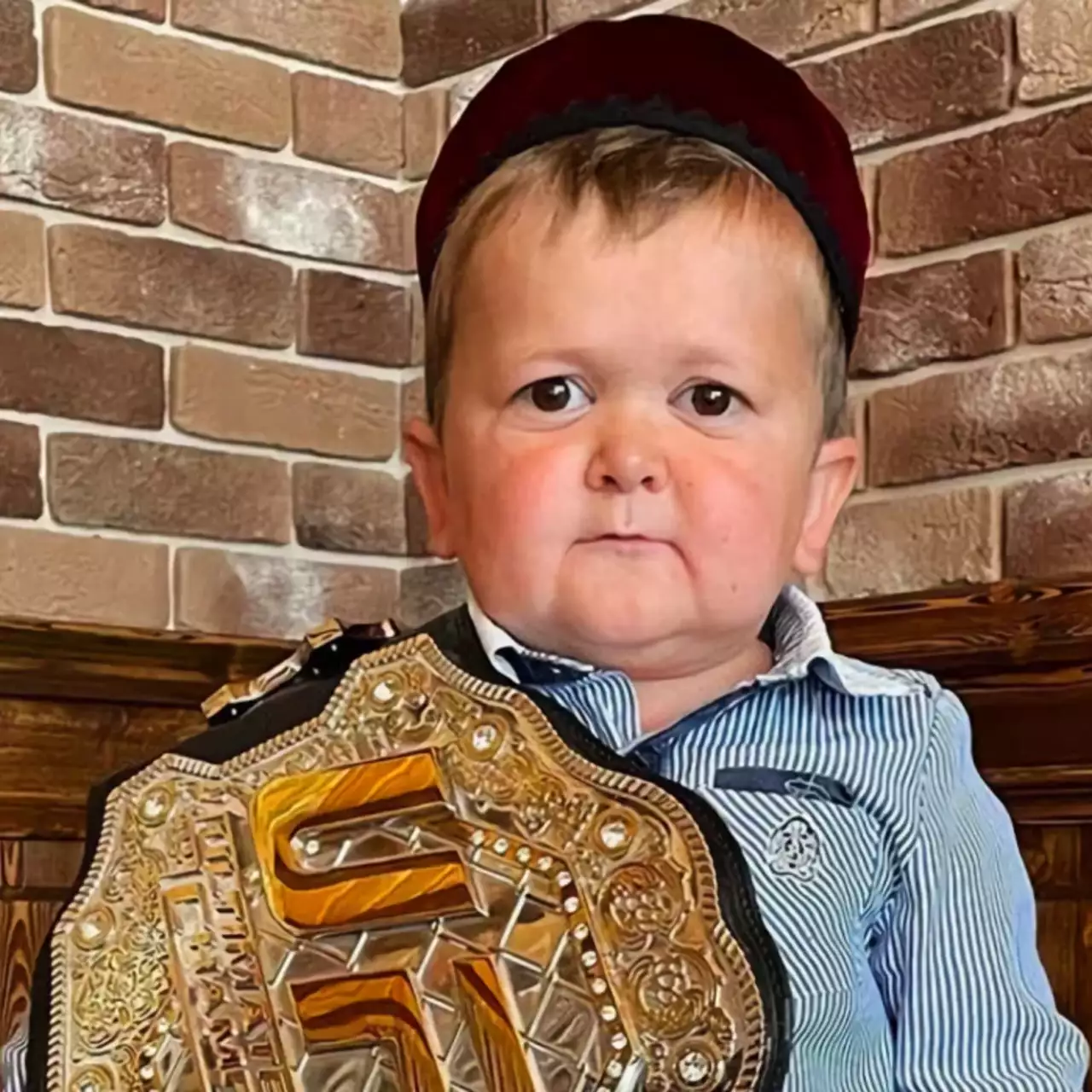 В UFC 4 появился официальный скин Хасбика В UFC 4 появился официальный скин Хасбика