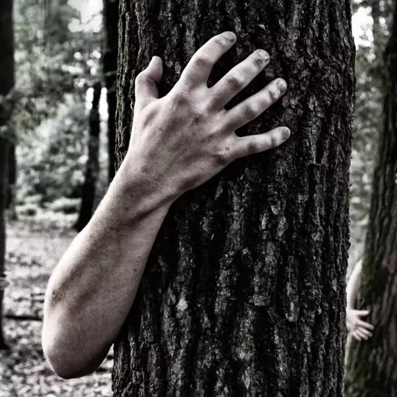 Вышел геймплей нового жуткого хоррора в духе Outlast, в котором геймерам обещают «гиперреалистичное окружение» Вышел геймплей нового жуткого хоррора в духе Outlast, в котором геймерам обещают «гиперреалистичное окружение»