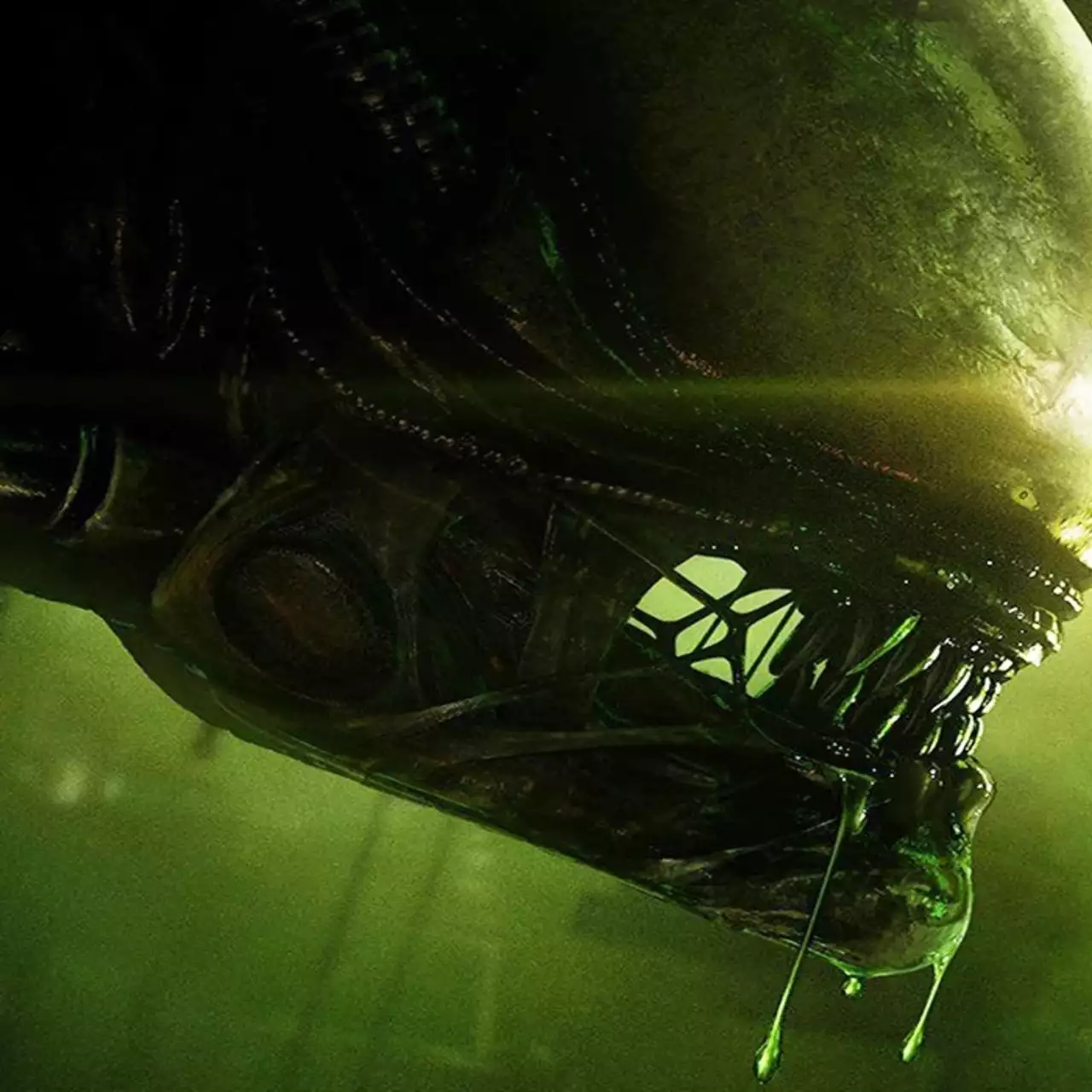 В честь Дня Чужого была представлена новая коллекционка Alien: Isolation. Фанаты должны оценить В честь Дня Чужого была представлена новая коллекционка Alien: Isolation. Фанаты должны оценить