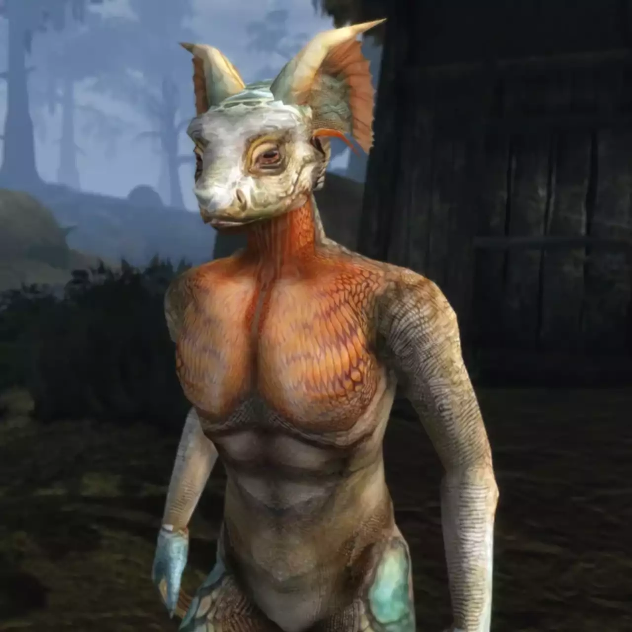 Появились новые кадры масштабных ремейков Oblivion и Morrowind Появились новые кадры масштабных ремейков Oblivion и Morrowind