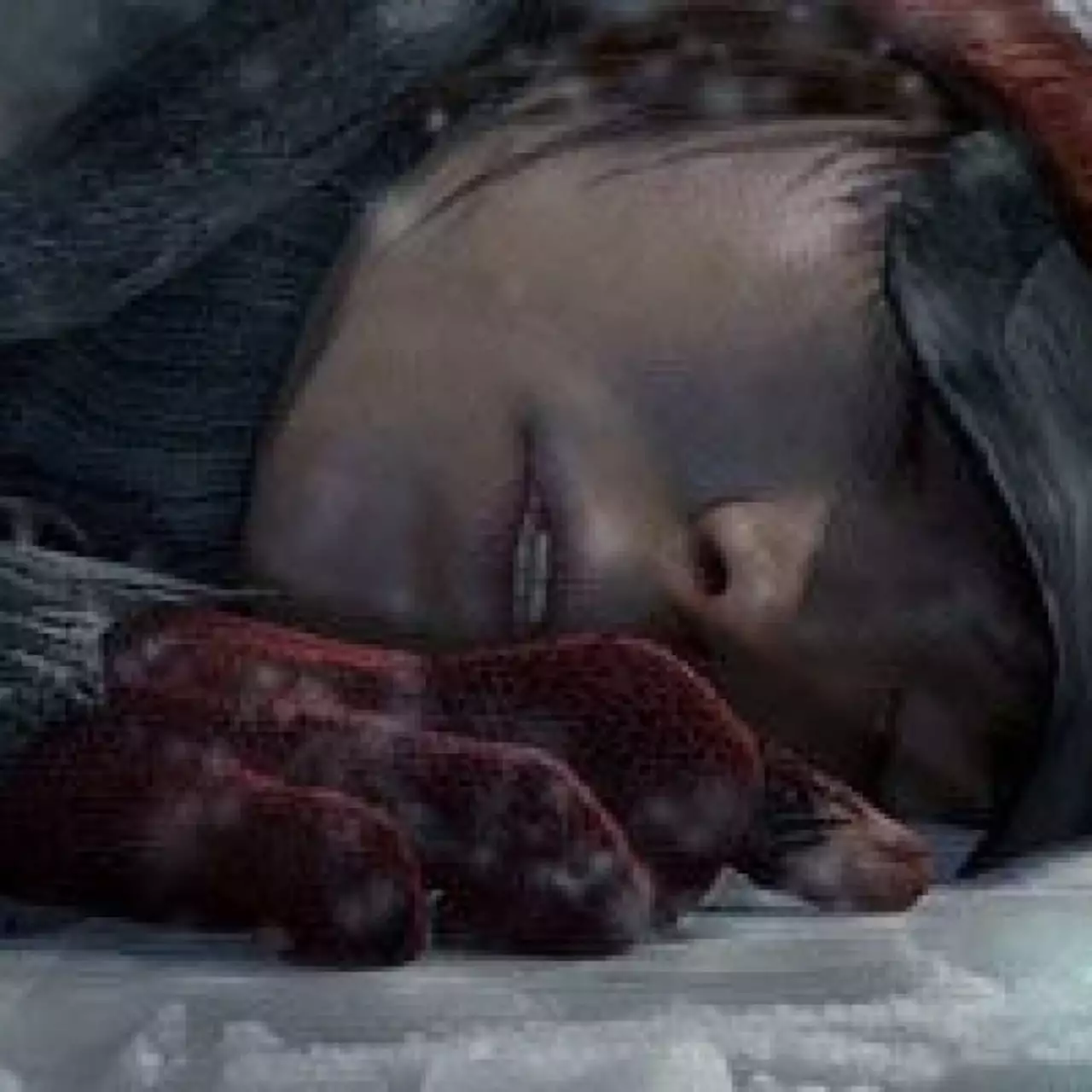 Геймплей Beyond: Two Souls показан на видео Геймплей Beyond: Two Souls показан на видео