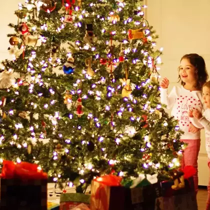 Из-за бага Древо Эрд в Elden Ring стало выглядеть как новогодняя ёлка. Геймеры говорят, так стало даже лучше