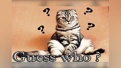 Guess who ? EN Global (Global) [Steam]