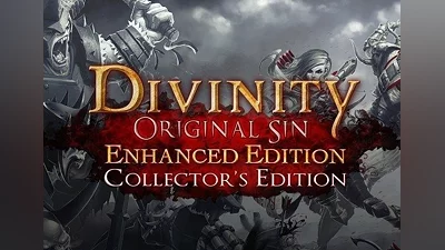 Divinity: Original Sin Enhanced Collector's Edition EN/DE/FR/IT/PL/CS/RU Global (Global) [GOG]