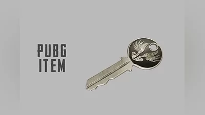 PUBG PlayerUnknown's Battlegrounds: Early Bird Key DLC EN Global (Global) [Official website]