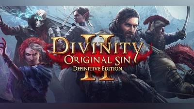 Divinity: Original Sin 2 - Definitive Edition (PS4) (Account) [Global] [Standard]