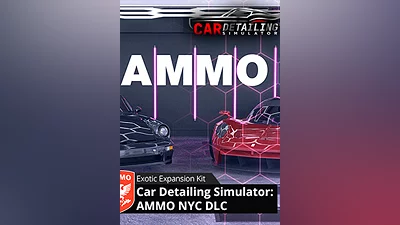 Car Detailing Simulator - AMMO NYC