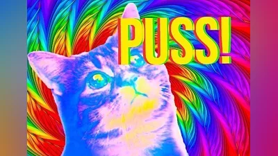 Puss! EN United States (United States) [Xbox One/Series]