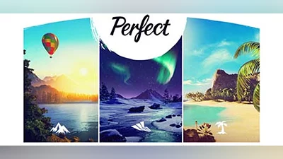 Perfect (Steam key)