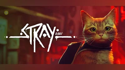 Stray (Steam key)