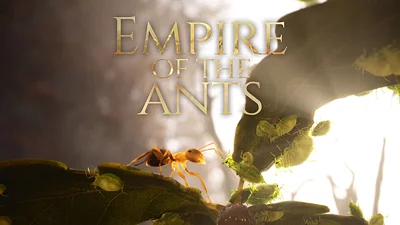 Empire of the Ants (Xbox X) (Account) [Global] [Standard]