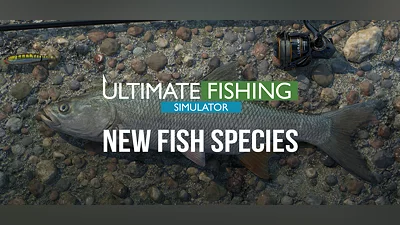 Ultimate Fishing Simulator New Fish Species DLC (PC) [RU/CIS] [Standard]