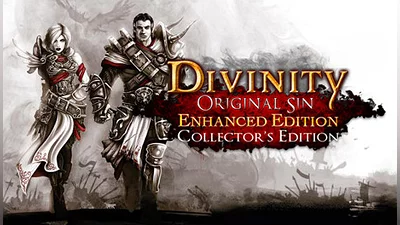 Divinity: Original Sin Enhanced Edition - Collector's Edition