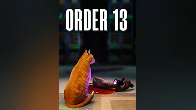 ORDER 13